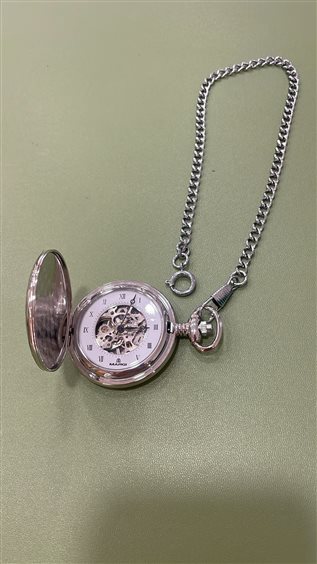 Pocket watch Margi Man in Steel 15460 - 15460
